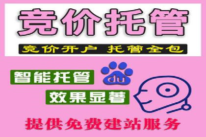 百度竞价推广托管的成功案例：从零到一的突破